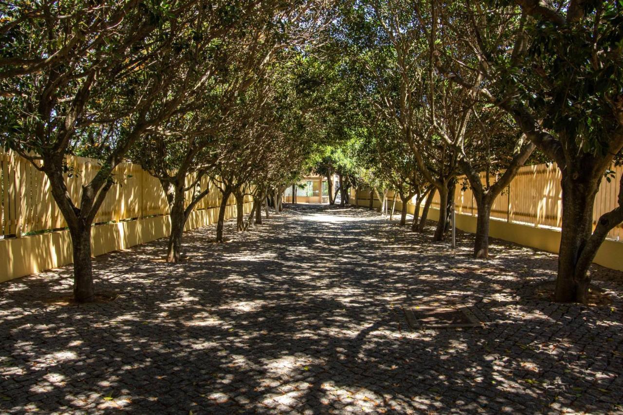 Apartamento Barracuda A14 Albufeira Exterior foto